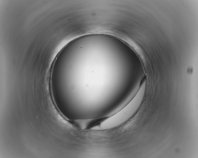 X0000091471102200709061813