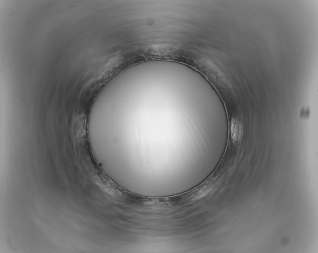 X0000091471107200709061812