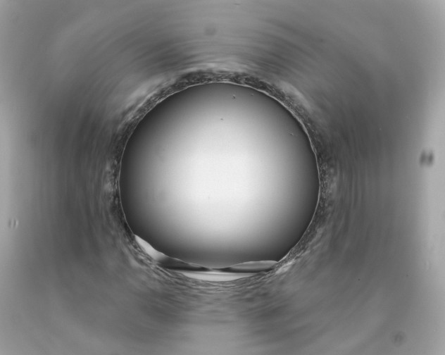 X0000091471110200709061812