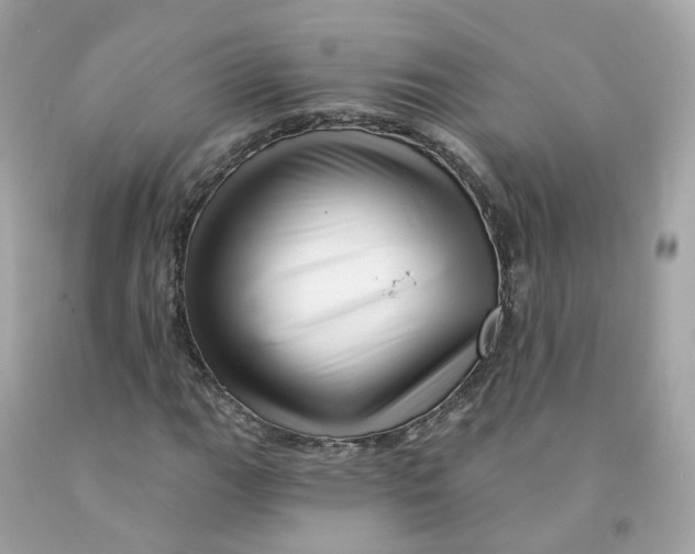 X0000091471111200709061812