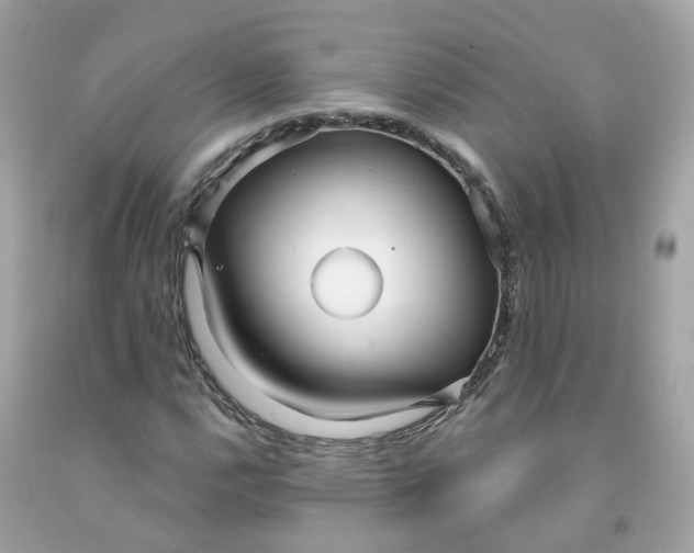 X0000091471112200709061812