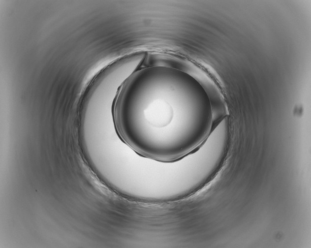 X0000091471114200709061812