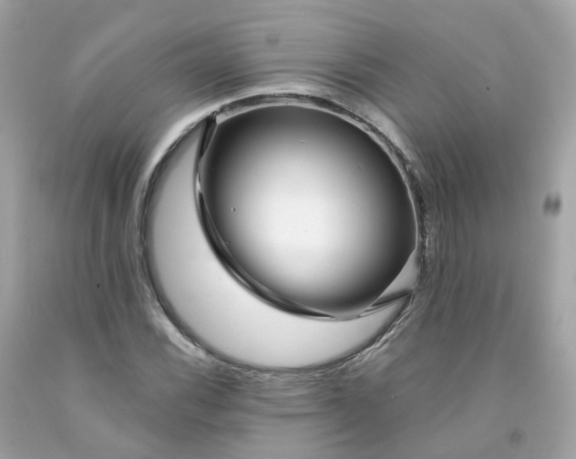 X0000091471116200709061812