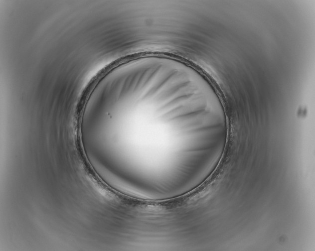 X0000091471119200709061812