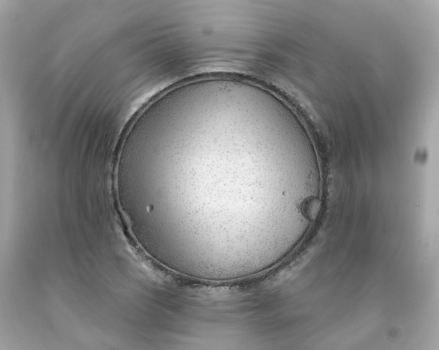 X0000091471121200709061812