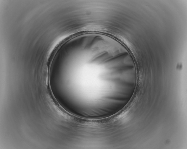 X0000091471123200709061812