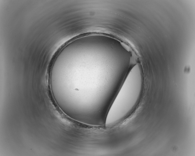 X0000091471125200709061813