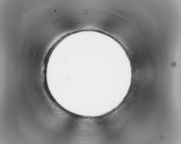 X0000091471126200709061813