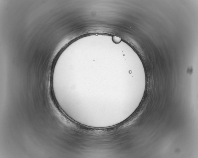 X0000091471130200709061813