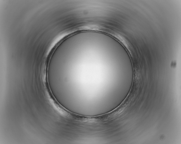 X0000091471131200709061813