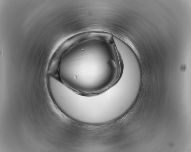 X0000091471132200709061813