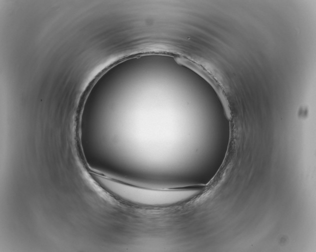 X0000091471134200709061813