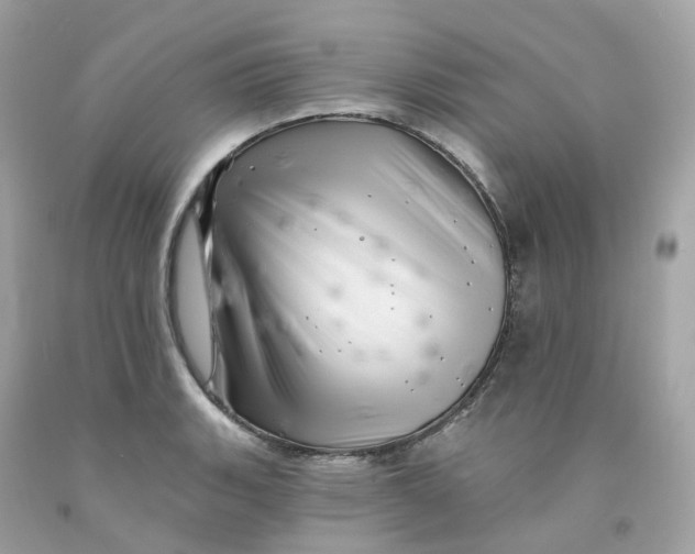 X0000091471135200709061813