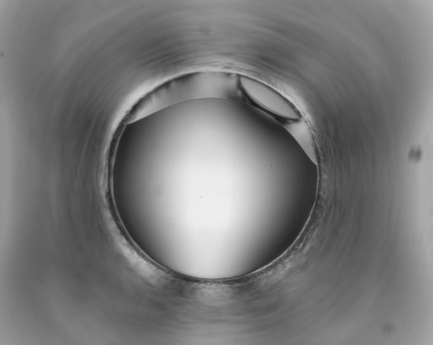 X0000091471136200709061813