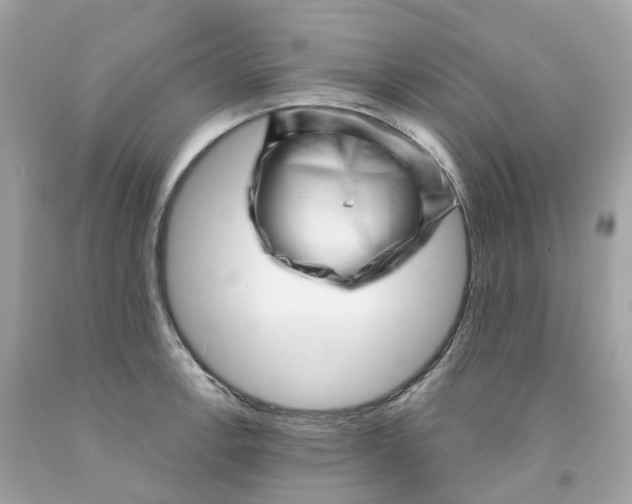 X0000091471138200709061813