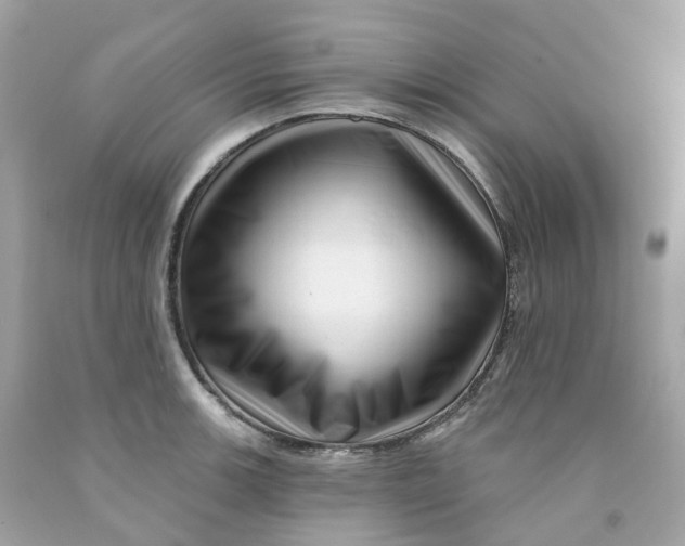 X0000091471139200709061813