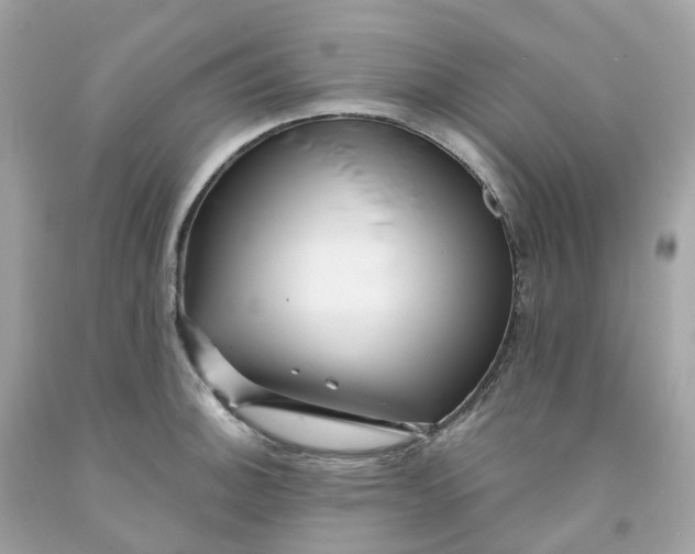 X0000091471140200709061813