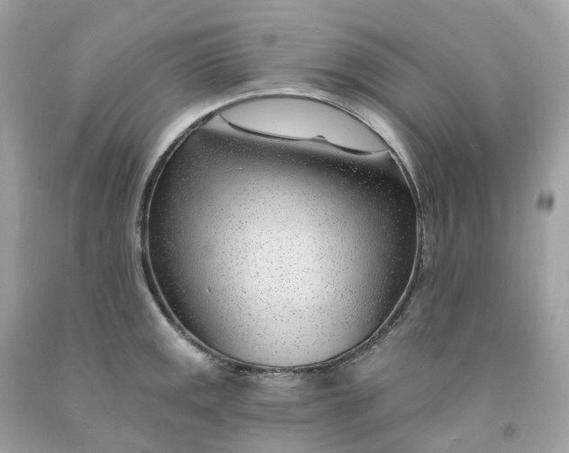 X0000091471141200709061813