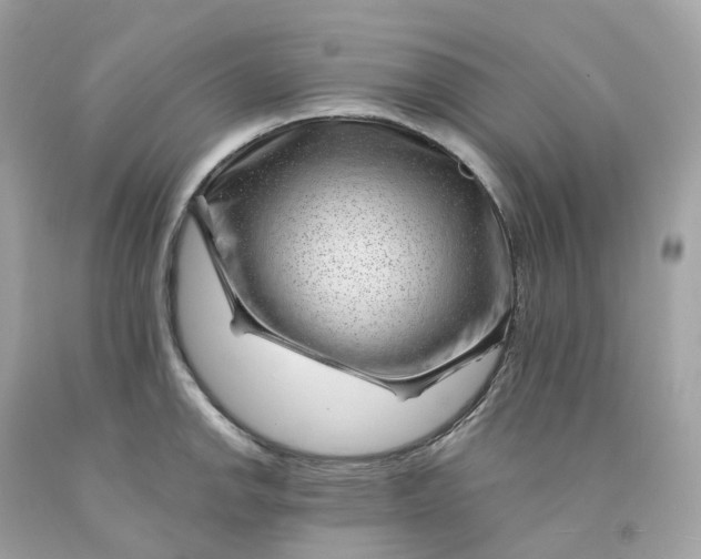 X0000091471142200709061813