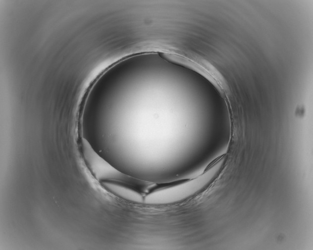 X0000091471144200709061813