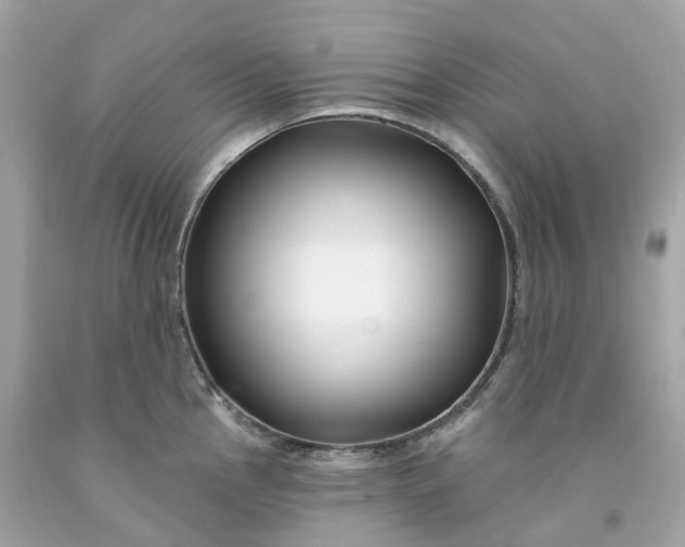 X0000091471145200709061813