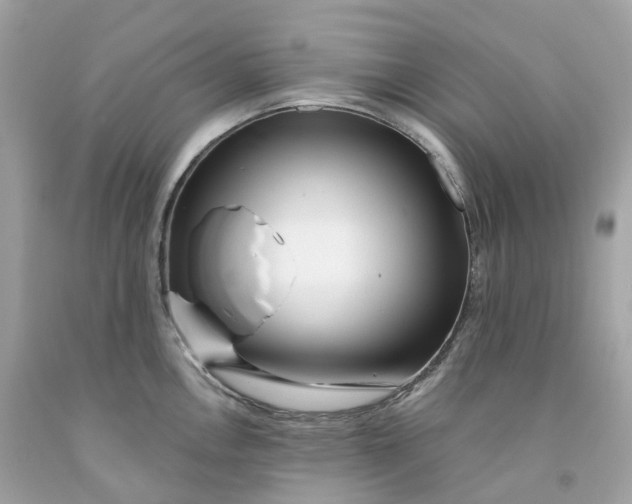 X0000091471146200709061813