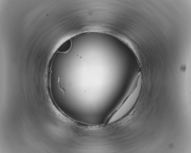 X0000091471147200709061813