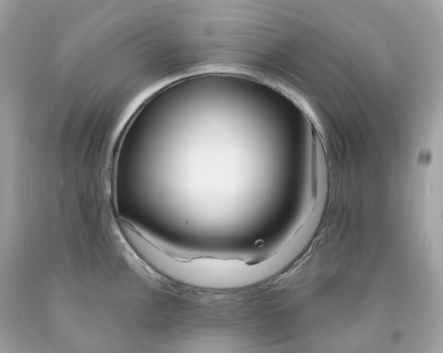 X0000091471148200709061813