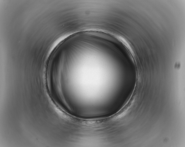 X0000091471149200709061813