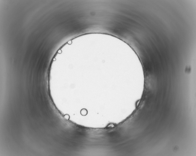 X0000091471150200709061813