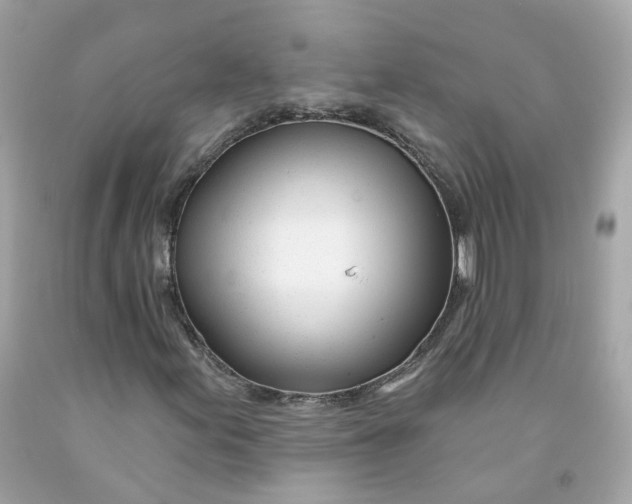 X0000091471155200709061812