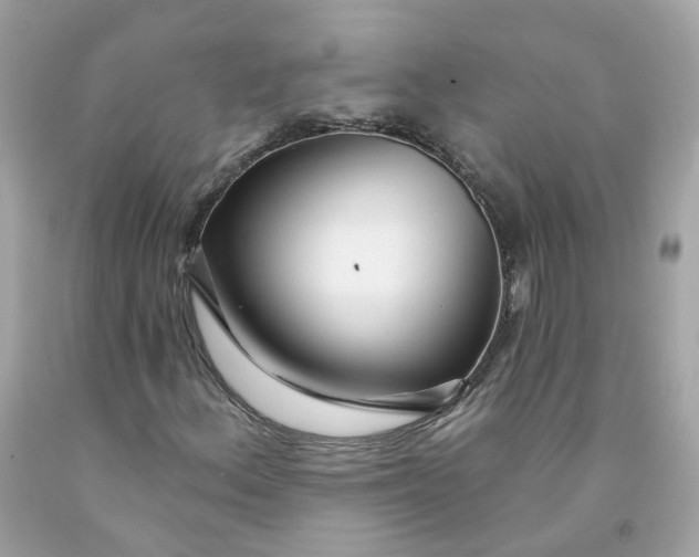 X0000091471156200709061812