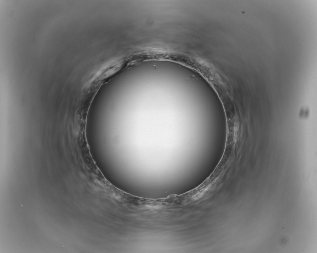 X0000091471157200709061812