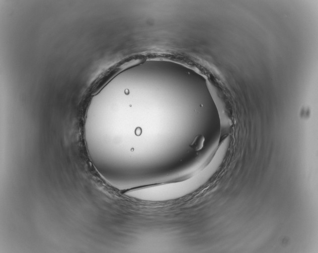 X0000091471160200709061812