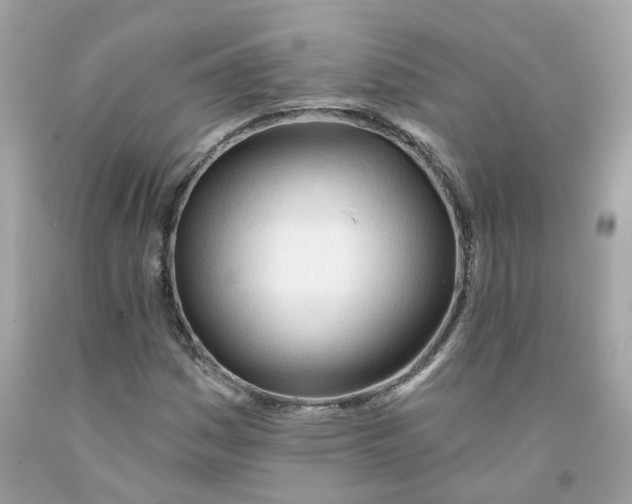 X0000091471161200709061812