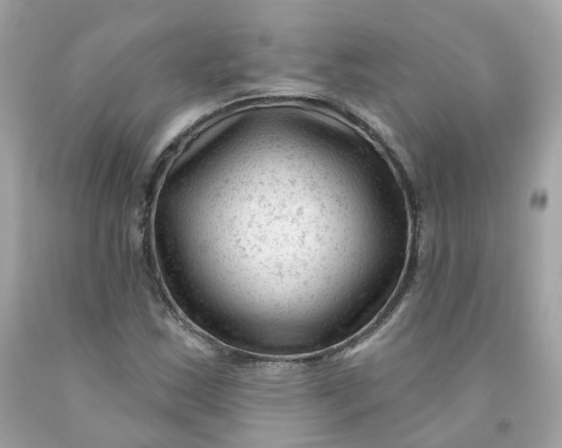 X0000091471163200709061812