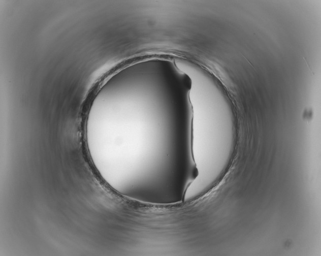 X0000091471164200709061812