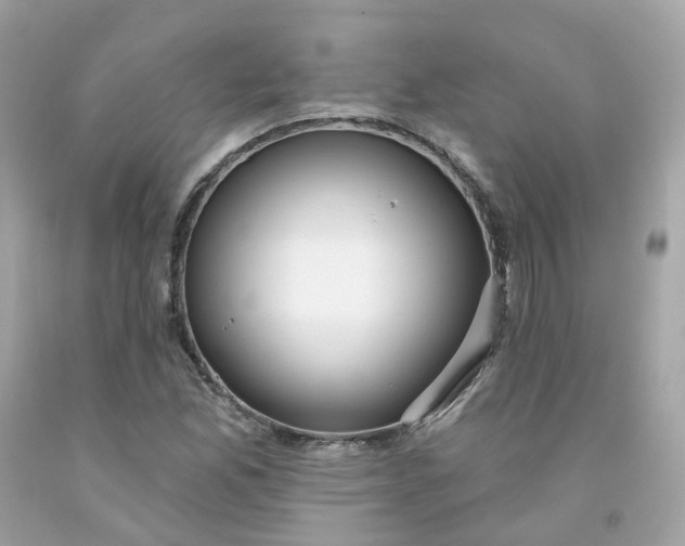 X0000091471165200709061812