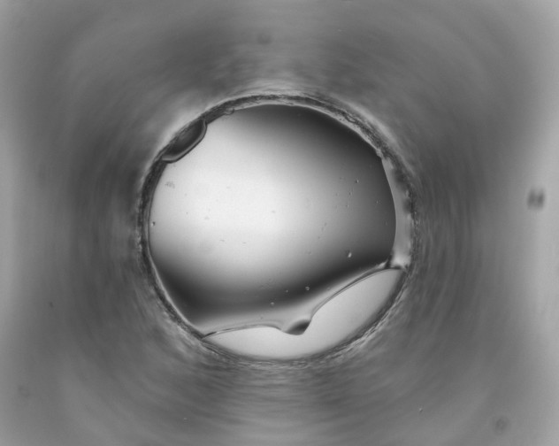 X0000091471168200709061812