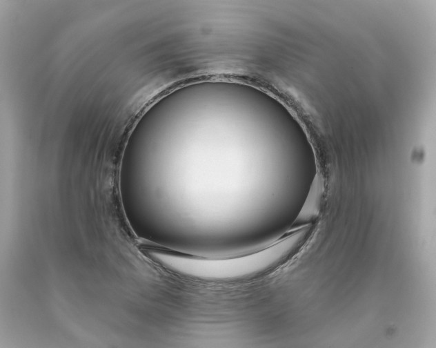 X0000091471169200709061812