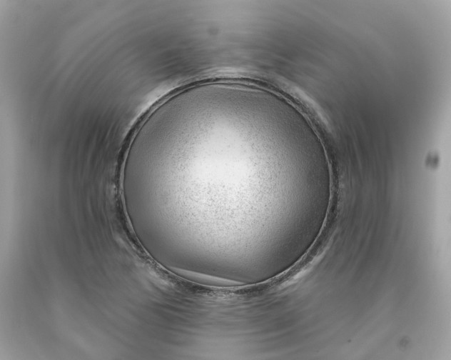 X0000091471170200709061812