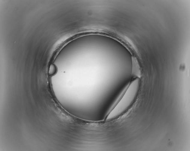 X0000091471172200709061812