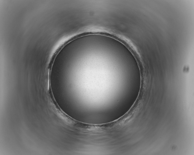 X0000091471175200709061812