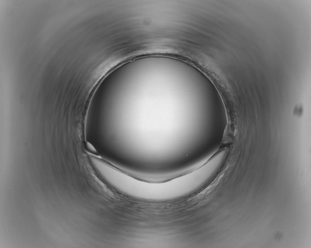 X0000091471177200709061812