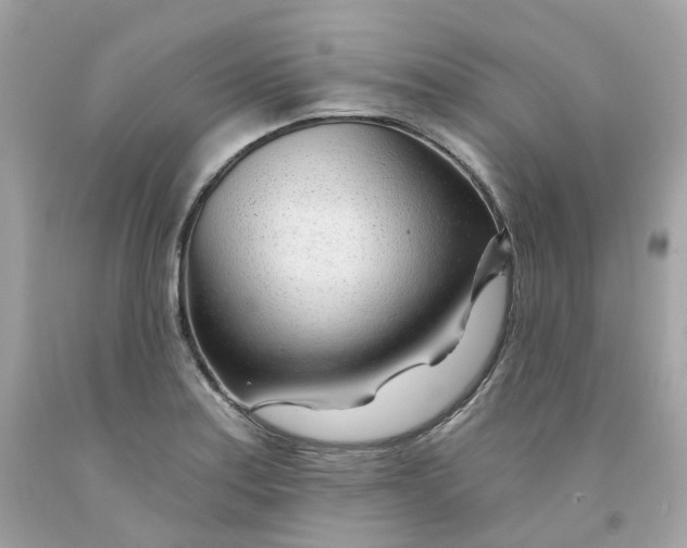 X0000091471179200709061812