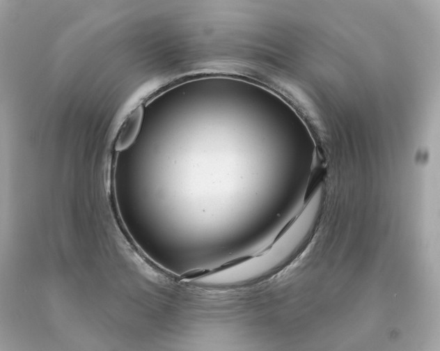 X0000091471180200709061812