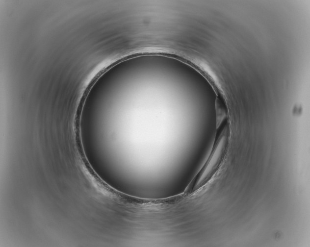 X0000091471181200709061812