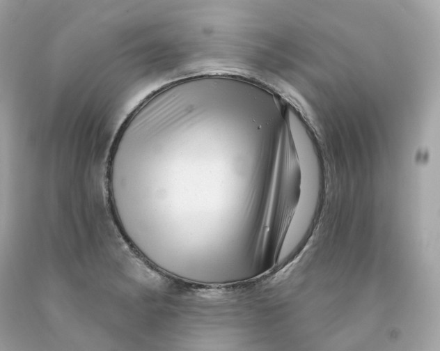 X0000091471182200709061812