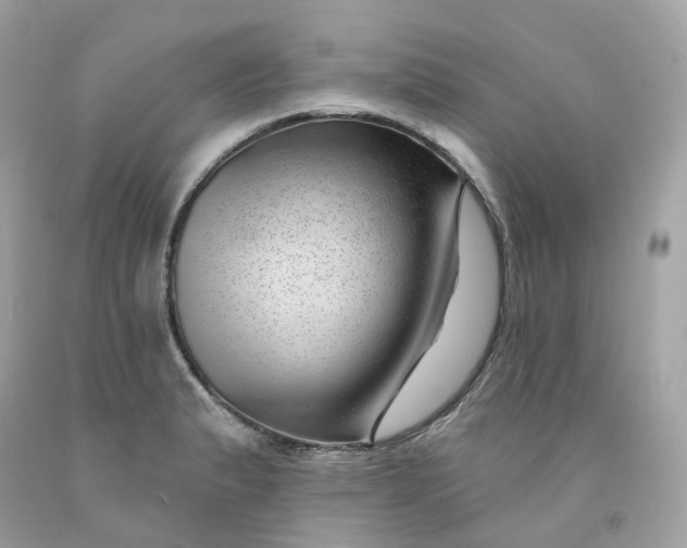 X0000091471183200709061812