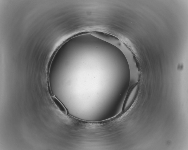 X0000091471184200709061812